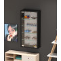 VDD Vitrine Murale Suspendue Debout - 30 x 60 x 13 cm
