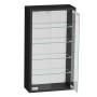 VDD Vitrine Murale Suspendue Debout - 30 x 60 x 13 cm