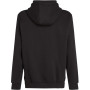 Tommy Jeans TJM Reg S Flag Hoodie Dm0Dm20742 Sweat à Capuche, Black (Black), XXXL Men's