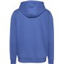 Tommy Jeans Sweat à Capuche Homme Regular Fit Flag Fleece avec Capuche