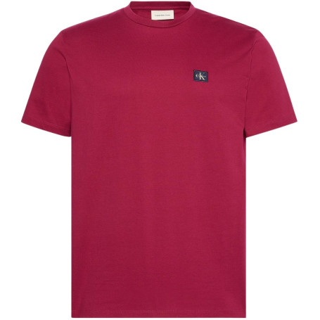 Calvin Klein SS Badge 30S Jersey Classic Tee Lv04Rc272G T-Shirts