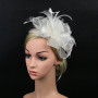 Bibi pour femme - Chapeau vintage - Voile de mariée - Accessoire de cheveux - Plume - Voile de banquet - Accessoire de cheveux é