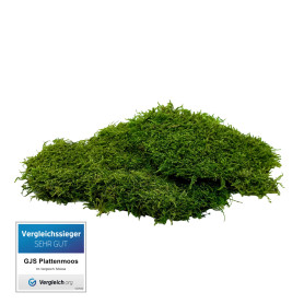 GJS Lot de 200 Feuilles de Mousse Plate 100g/200g/500g - Tapis Durable Préservé pour Travaux Manuels et Décoration (200) GJS Lot de 200 Feuilles de Mousse Plate 100g/200g/500g - Tapis Durable Préservé pour Travaux Manuels et Décoration (200)