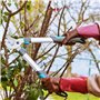 Gebol Damascena | 1 paire | Taille M (taille 8) | Gant de rose | Cuir véritable avec protection épineuse | Gant de jardinage rob