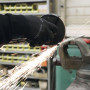 tige filetée avec filetage extérieur DIN 976-1