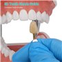 Telituny Guide de Teinte des Dents Dentaires, Ensemble de 20 Couleurs de Blanchiment des Dents Pour Comparer La Couleur des Dent