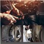 ZEALfix Outil de Fixation du Volant Moteur Compatible avec M264 M272 M273 M274 M276 M278 M112 M113 M137 M152 M155 M156 M157 M176