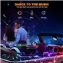 NEOVSUNY Éclairage intérieur LED en acrylique pour voiture - Éclairage d'ambiance RVB - 110 cm - 146 LED avec 219 options de scè