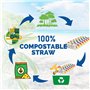 Lot de 200 pailles jetables en papier avec cuillère pour slushy, smoothie, milkshake, boissons glacées - 20 x 0,8 cm - Rayures c