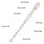 Flûte à bec soprano à flûte à bec 8 trous en ABS de style allemand Flûte triple en Do avec tableau de doigté Instructions (franç