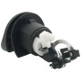 Arotzelox Serrure de Coffre hayon Voiture 7701367940 pour Twingo Logan Sandero