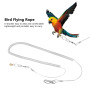 Oiseau en plastique jouets perroquet corde de formation oiseau corde volante chaîne de pied d'oiseau avec anneau harnais d'oisea