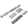 Woosphy Kit de culbuteur de poussoir hydraulique d'arbre à cames Compatible avec Captiva Cruze Epica Antara 2.0 VCDi Z20DM Z20DM