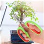 KUIDAMOS Branche D'arbres Fruitiers Coupe Ciseaux Outils De Jardin Raisin Élagage Cisailles sécateur de Raisin d'acier Inoxydabl