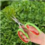KUIDAMOS Branche D'arbres Fruitiers Coupe Ciseaux Outils De Jardin Raisin Élagage Cisailles sécateur de Raisin d'acier Inoxydabl