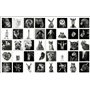 Fotografenverlag Tiere Animaux – Jeu de mémoire