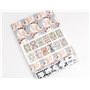 Belle Epoque: Gift & Creative Paper Book