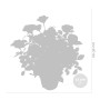 Bloomique - Lot de 3 - Rosiers Nains - Rouge, Jaune, Rose - Plantes d’intérieur & extérieur - Terrasse & Jardin - Rustique - 20-