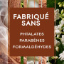 Glade Sense & Spray Recharges Diffuseur à Détection de Mouvement - Infusé Aux Huiles Essentielles - Jusqu'à 2 Mois de Parfum - S
