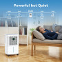 Innvitop Deshumidificateur d Air Electrique 16L/Jour Con Display d’Humidité, 3 Modes, Déshumidificateur Maison ave Mode Séchage