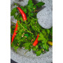 KitchenCraft World of Flavours - Ensemble Pilon Et Mortier Mexicain, Granit Naturel, 20 cm (8''), Gris