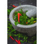 KitchenCraft World of Flavours - Ensemble Pilon Et Mortier Mexicain, Granit Naturel, 20 cm (8''), Gris
