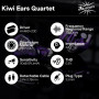 Linsoul Kiwi Ears Quartet 2DD+2BA Moniteur Intra-Auriculaire Hybride, HiFi Écouteurs avec Coque en Résine Artisanale, Câble IEM 