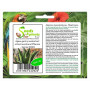 Pcs - 10x Agave Gentryi Résistente au Froid Rapidement de Plus en Plus Plantes - Graines B1881 - Seeds & Plants Shop by Ipsa
