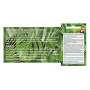 Pcs - 10x Agave Gentryi Résistente au Froid Rapidement de Plus en Plus Plantes - Graines B1881 - Seeds & Plants Shop by Ipsa