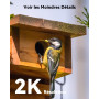 Imou 2K Caméra Surveillance WiFi Exterieure sans Fil Solaire, Camera Solaire Exterieur avec PIR & AI Détection Humaine, Vision N