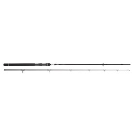 Canne Spinning Spro Dsx 30-80g