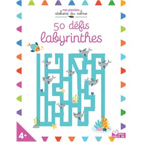 50 défis labyrinthes