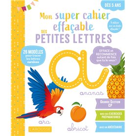 Mon super cahier effaçable - Petites lettres - De la Grande section au CP 5-6 ans