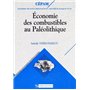 Economie des combustibles au paléolithique