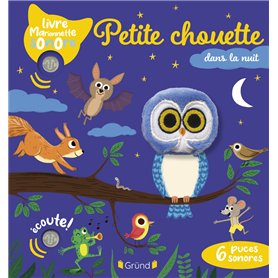 Petite chouette dans la nuit
