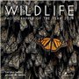 Wildlife Photographer of the Year 2024 33,27 €