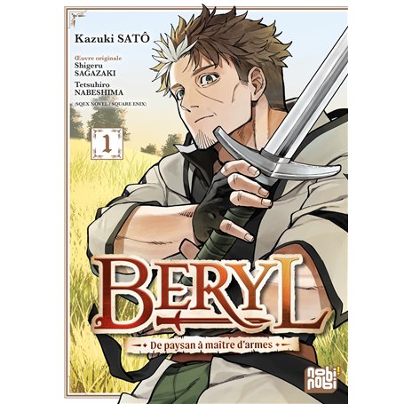 Beryl : de paysan à maître d'armes T01