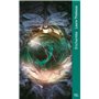 Damnatio memoriae - Tome 02 Enchantée (poche)