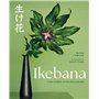 Ikebana - L'Art floral au fil des saisons