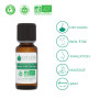 VOSHUILES - Huile Essentielle Arbre à Thé BIO 125ml - Parfum Citronné- Boisé - 100% Pure et Naturelle - HEBBD et ECOCERT - Nombr