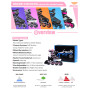 2PM SPORTS Cytia Taille réglable en Ligne de Patins en Ligne à Pleine lumière LED Roues, Rollers en Ligne pour pour Enfants, Fem