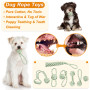 Ousiya Lot de 24 Jouets pour Chiots, Jouets de Dentition pour Chiots avec boîte de Rangement, à mâcher pour Chiens et couinants 