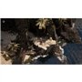Flint : Treasure of Oblivion - Jeu Xbox Series X