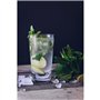 Mojito Cuerpo 3L Bib 15°