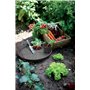ELHO Lot de 5 pots de fleur de culture avec soucoupe Green Basics - Ø17 x H15,7 cm + soucoupe Ø14 cm - 4 L - Noir