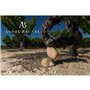 Domaine André Brunel 2024 L'instant rosé Méditérranée - Vin rosé de la Vallée du Rhône