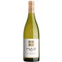Jean Claude Mas Classique 2023 Sauvignon La Plaine - Vin blanc de Languedoc