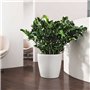 5 cm - Kit complet - Blanc - 13230