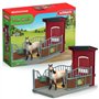 Coffret Box avec Jument Mustang