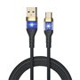 Câble USB A vers USB-C iggual IGG319994 Noir